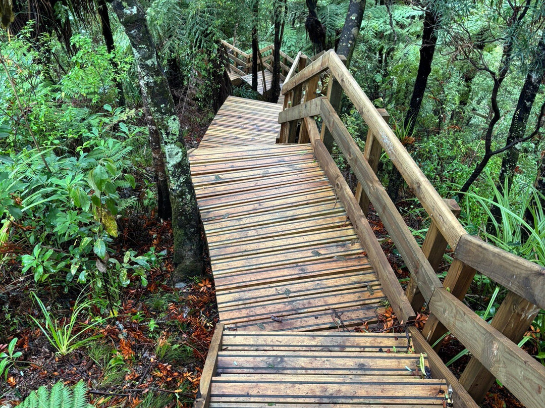 Fairy Falls-奥克兰必去景点