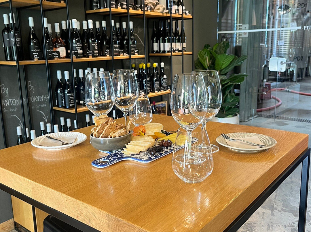 Fitapreta Vinhos-埃武拉必去景点
