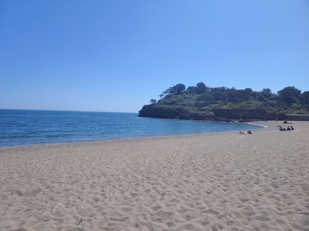 Plage de Paulilles景点图片
