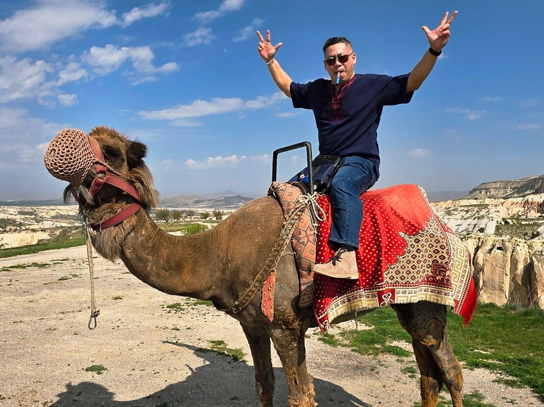 Savran Camel Safari-奥塔西萨必去景点