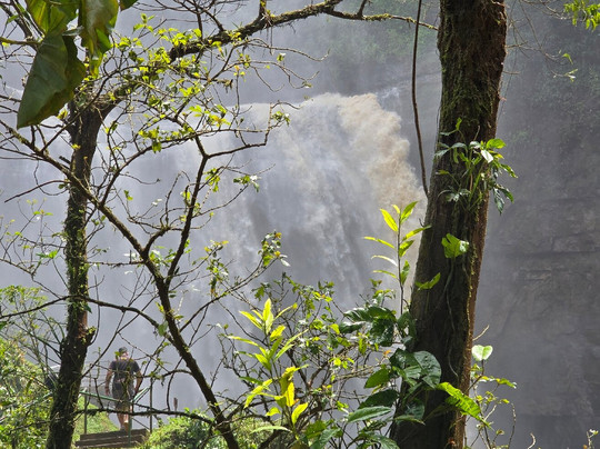 ATV Monkey Ride-主日镇必去景点