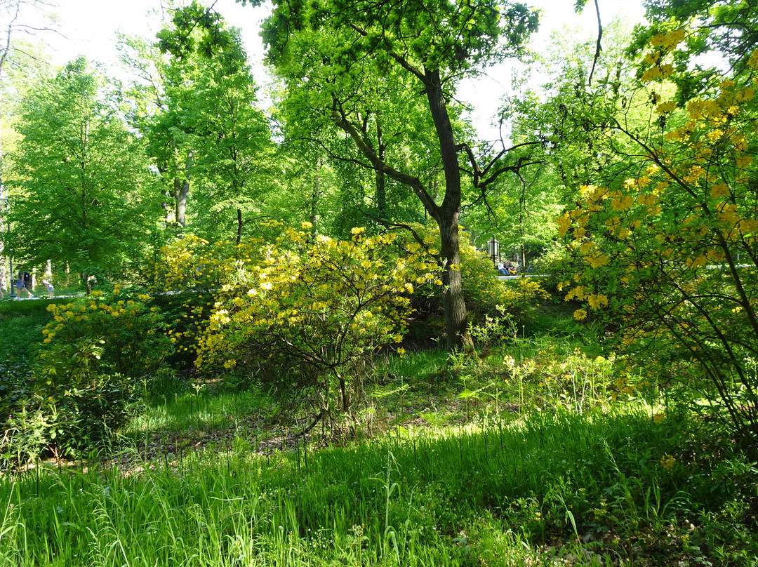 Park Zamkowy W Mosznej景点图片