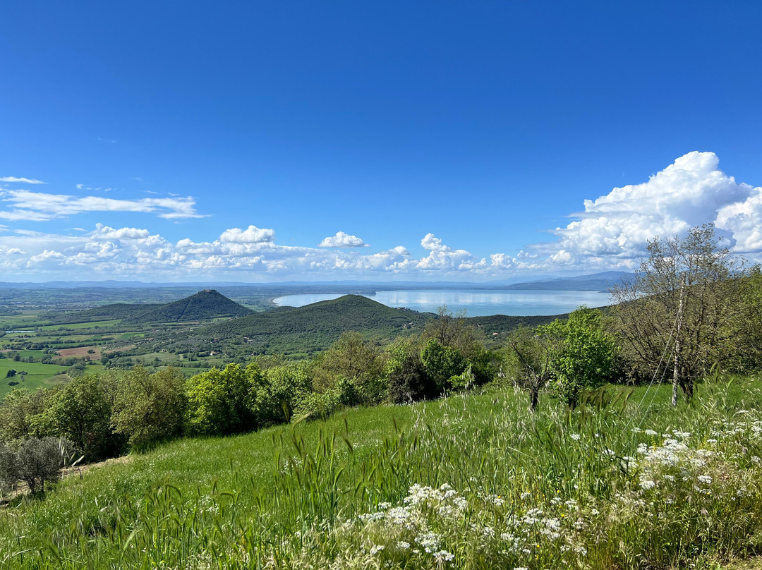 Birding In Italy景点图片
