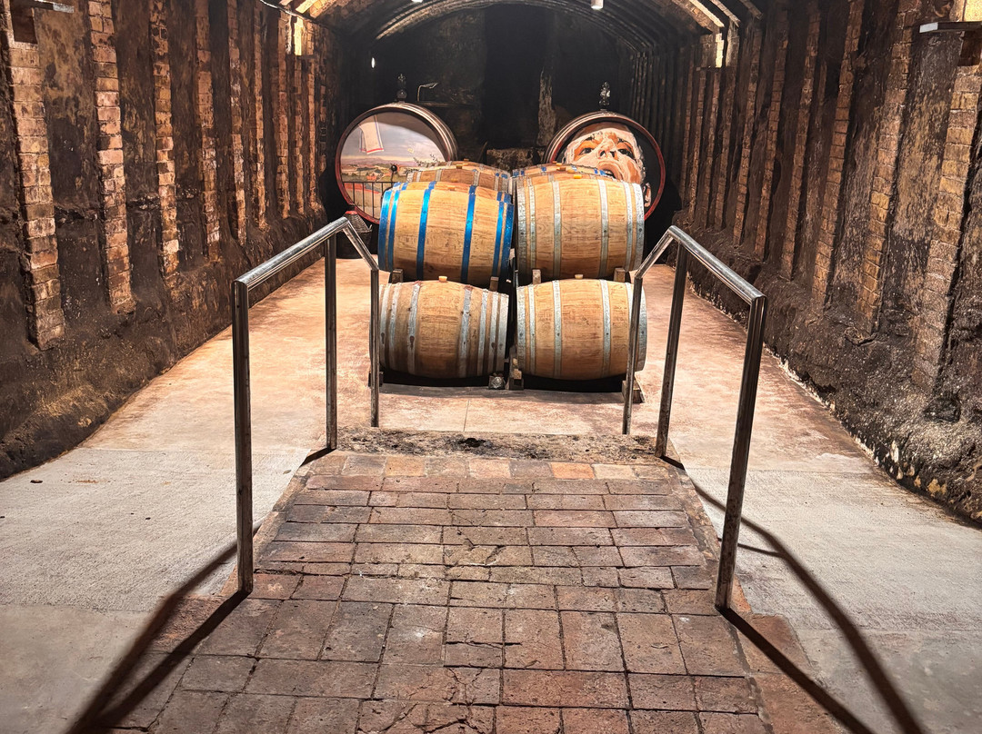 Il Cellese winery Boutique-波吉邦西必去景点