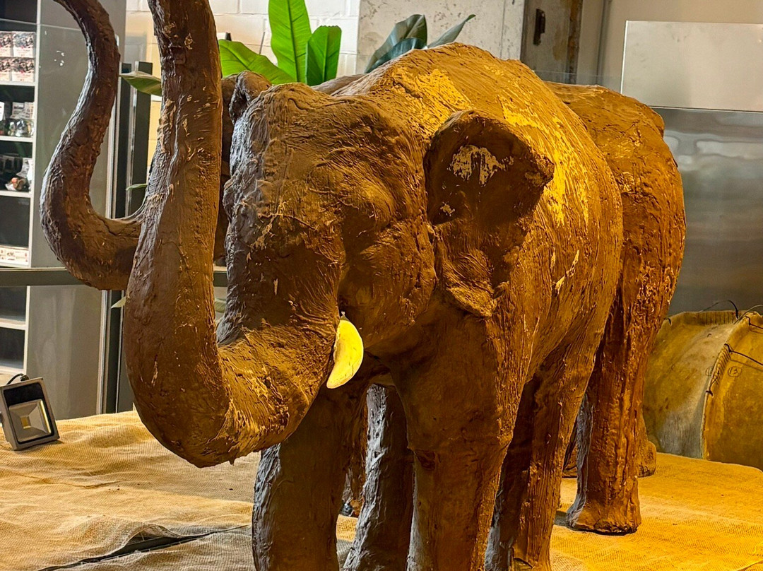 P&J Chocolate Factory Bruges-泽布鲁日必去景点