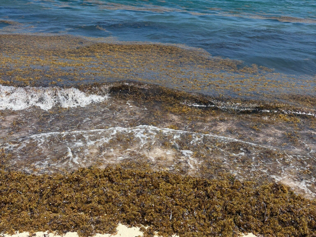 Spotts Beach-大开曼岛必去景点