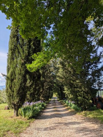 Agriturismo Il Poggio alle Ville-官方