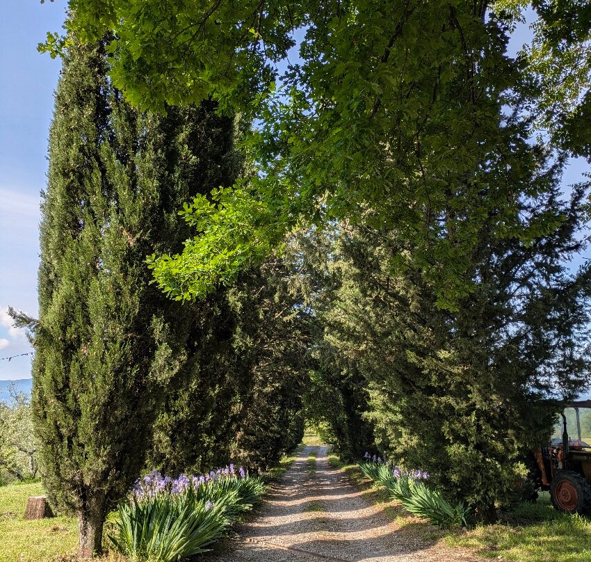 Agriturismo Il Poggio alle Ville主图