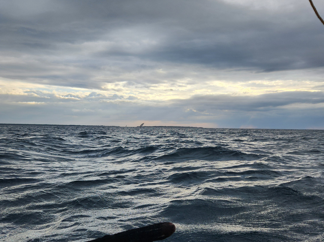 Unique Zanzibar Tours-桑给巴尔岛必去景点