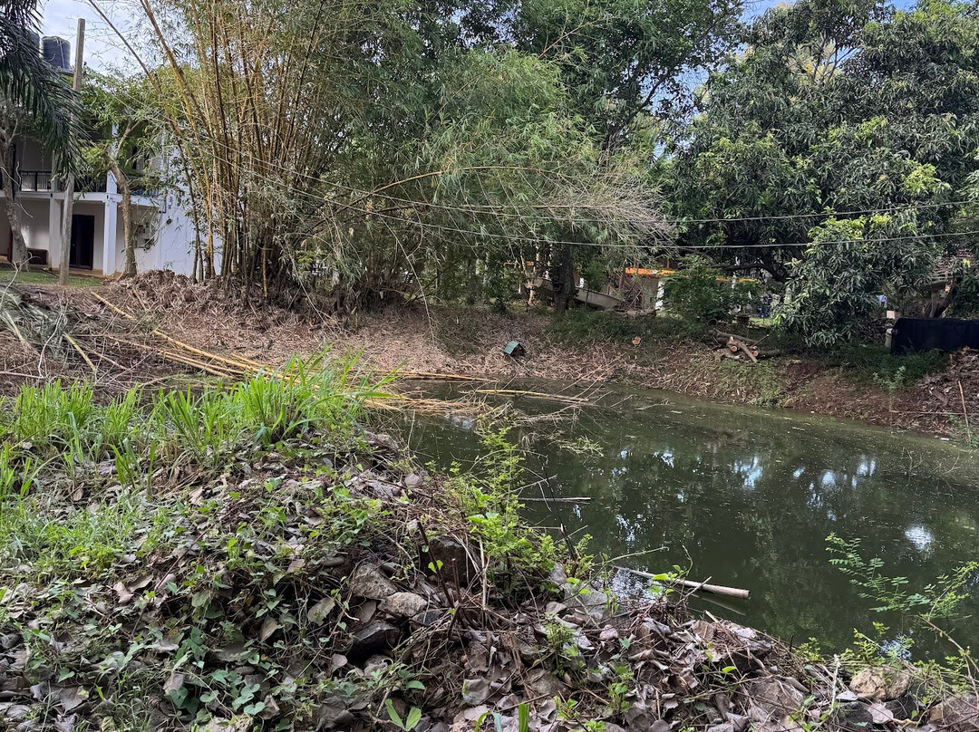 Hotel 4 U Saliya Garden主图