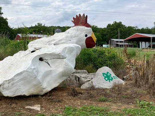 Rock Zoo-Fackler必去景点