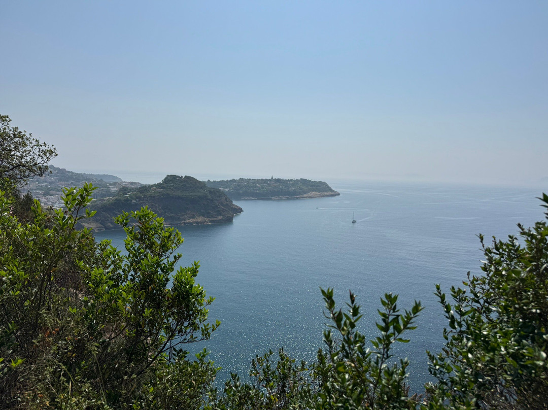 Riserva Naturale Statale Isola di Vivara景点图片