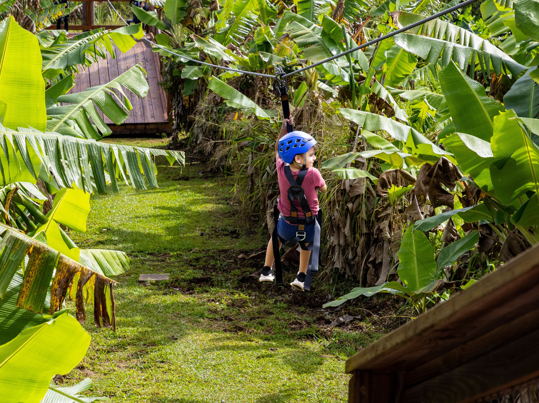 Hawaii Zipline & Hiking Tours-哈诺姆必去景点