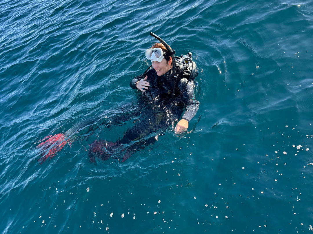 Gold Coast Dive Adventures-Runaway Bay必去景点