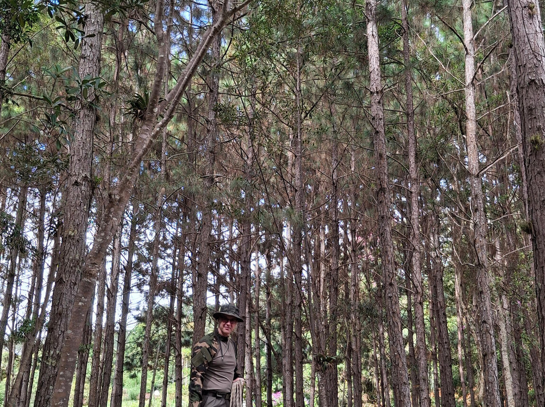 Rio Abaixo Rafting & Aventura-Juquitiba必去景点