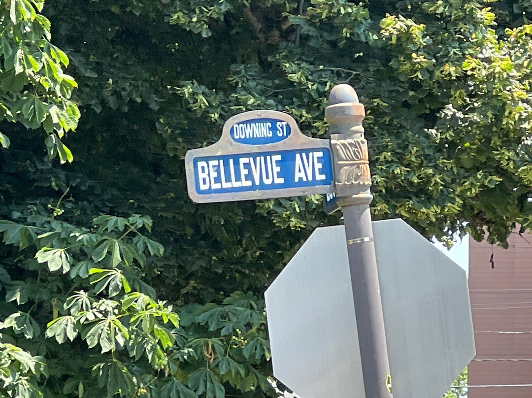 Bellevue Avenue-纽波特必去景点