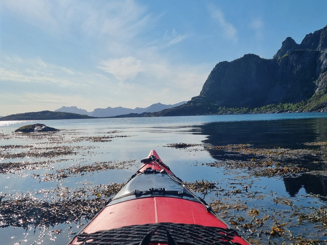Kayak Lofoten景点图片