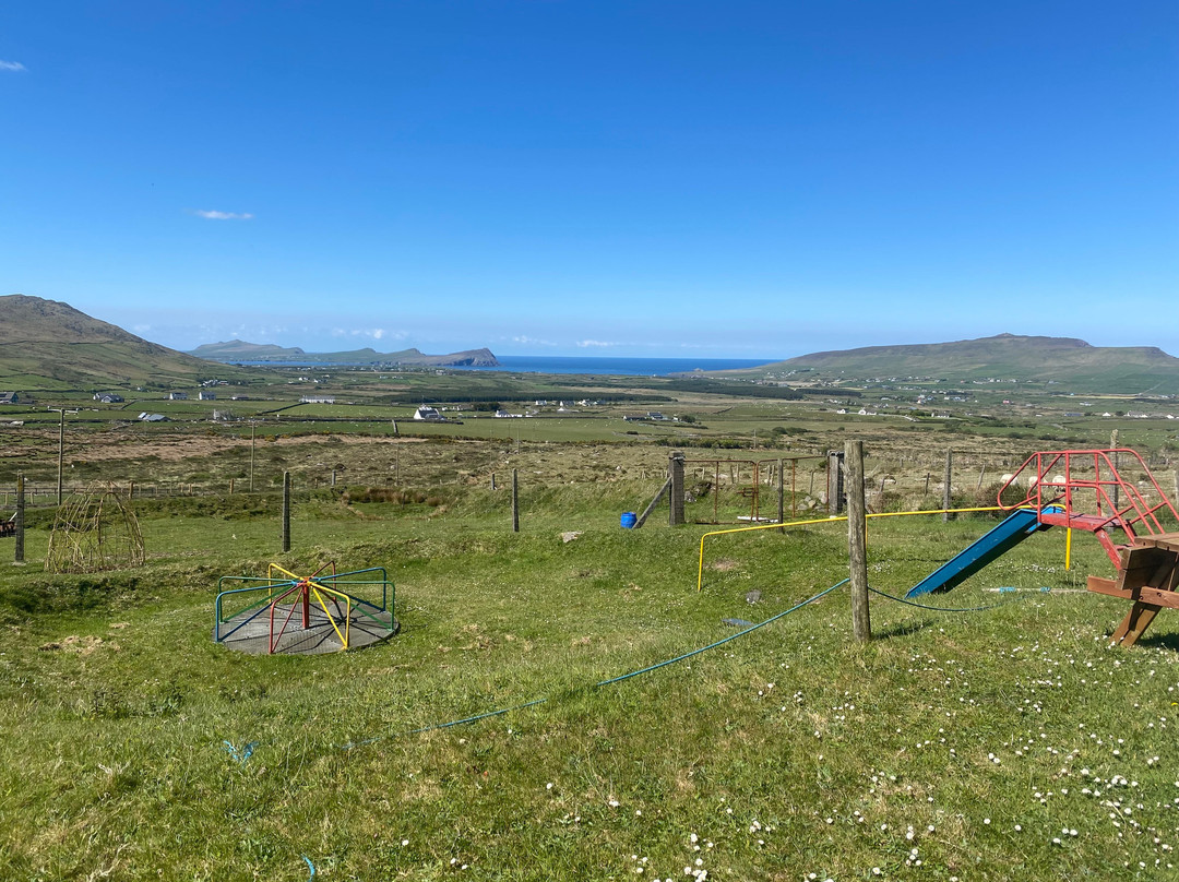 Wild Atlantic Wildlife Park-丁格尔必去景点