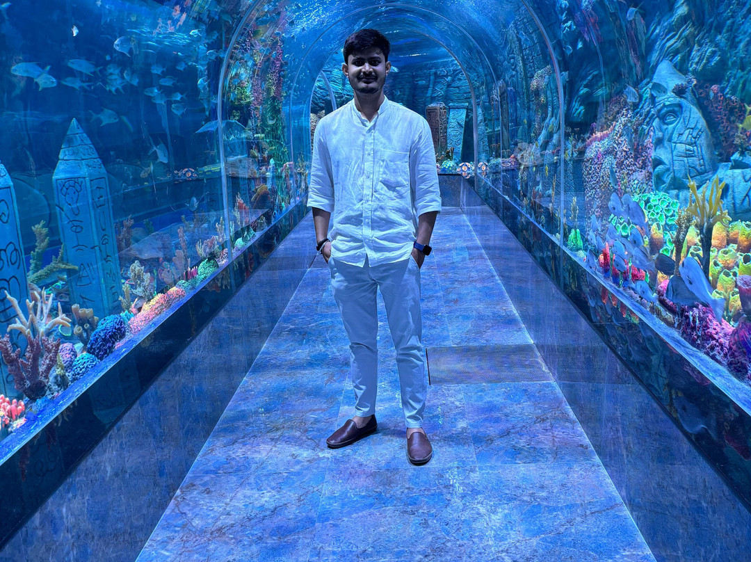 Aquarium Paradise景点图片