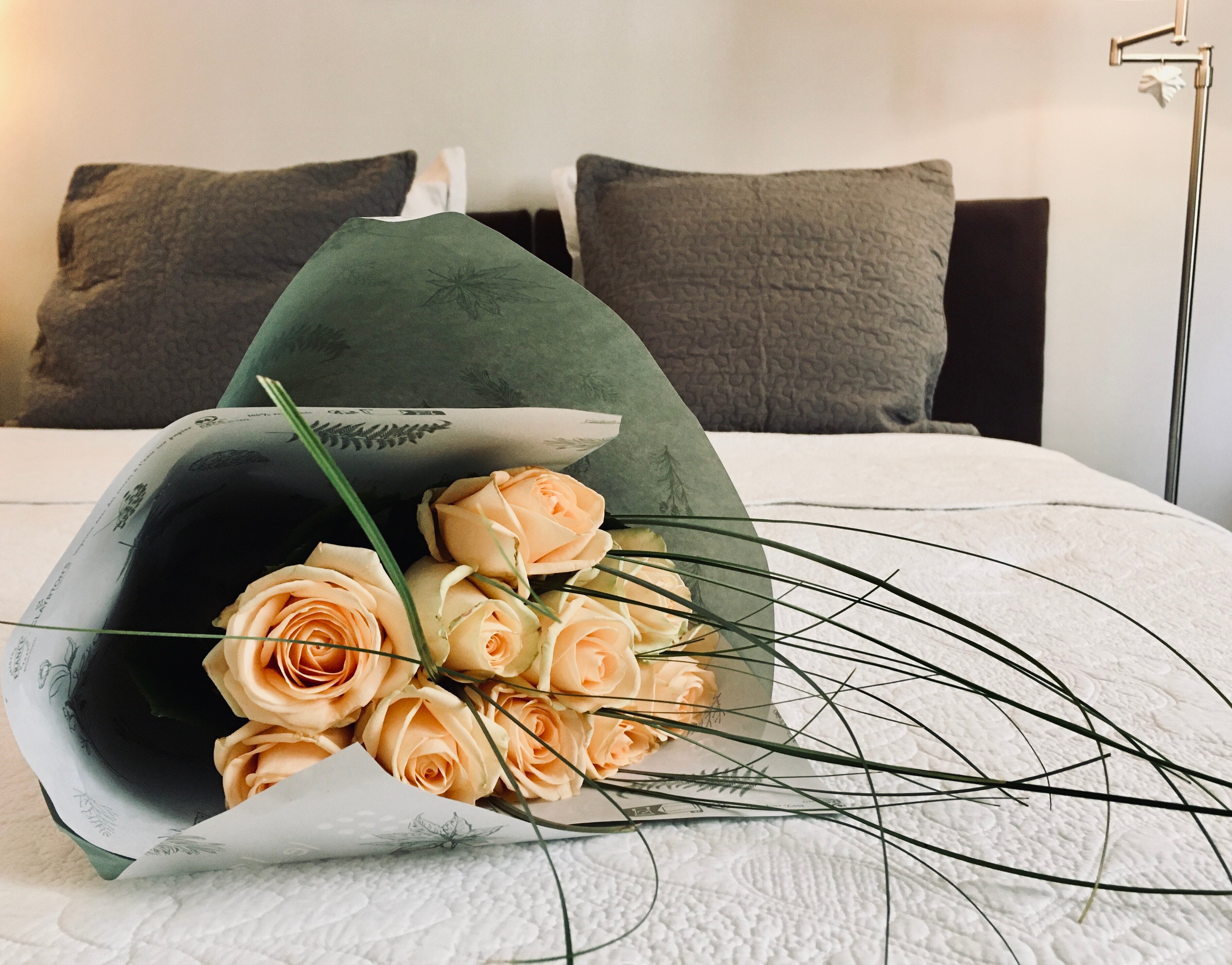 C'est Une Maison Bleue-官方