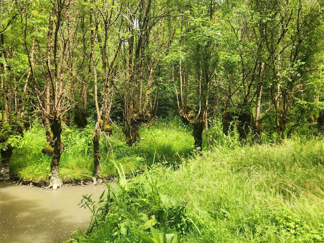 Réserve des Huttes-Nalliers必去景点