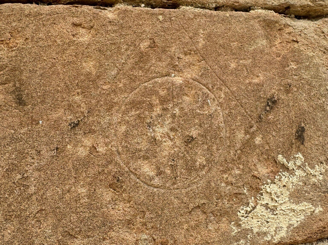 Bodegas Sers-Cofita必去景点