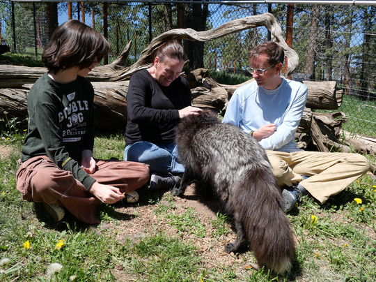 Colorado Wolf and Wildlife Center-Divide必去景点