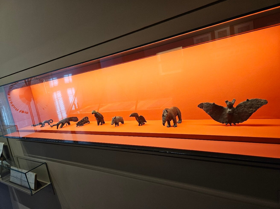 Museu Paranaense-库里提巴必去景点