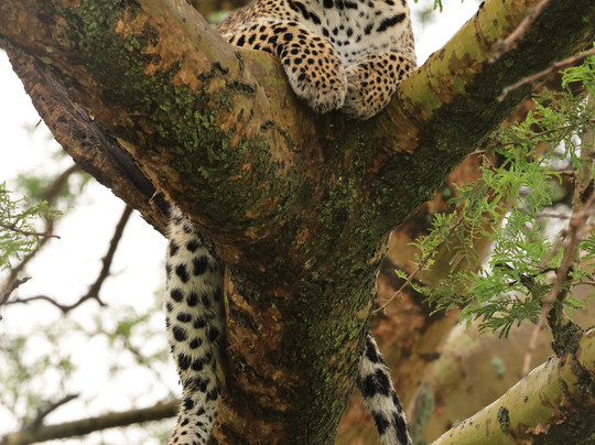 Zunguka Adventure Club-恩德培必去景点