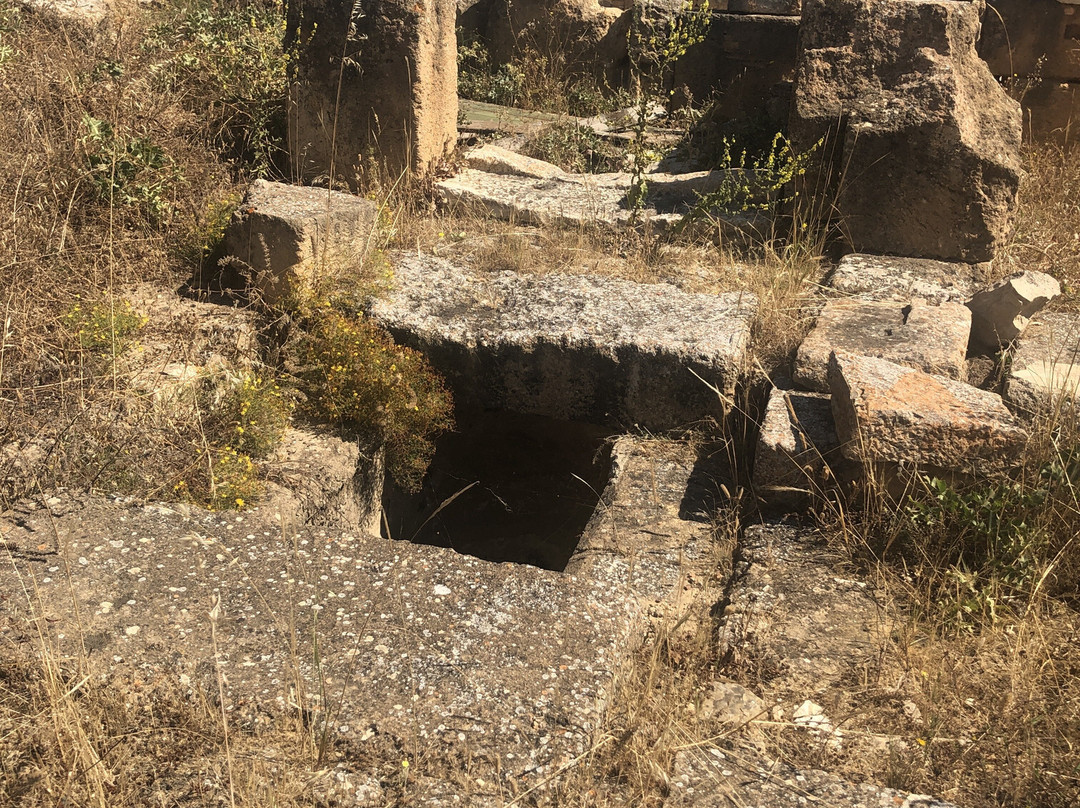 Utica-比塞大必去景点