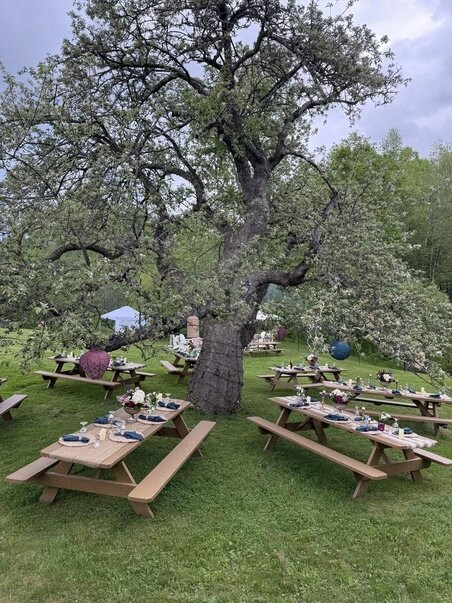 Red Clover Inn主图