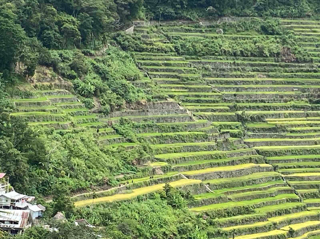 Native Village Inn主图