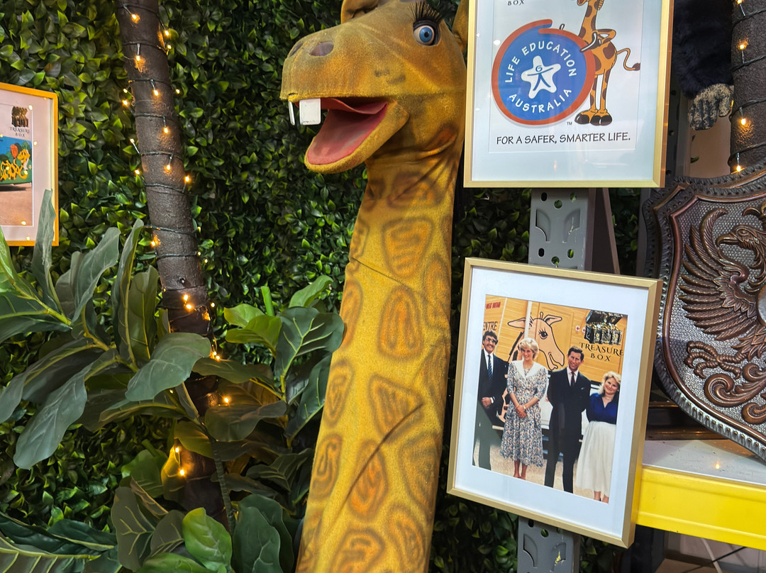 Treasure Box Buy & Sell-伯尼必去景点