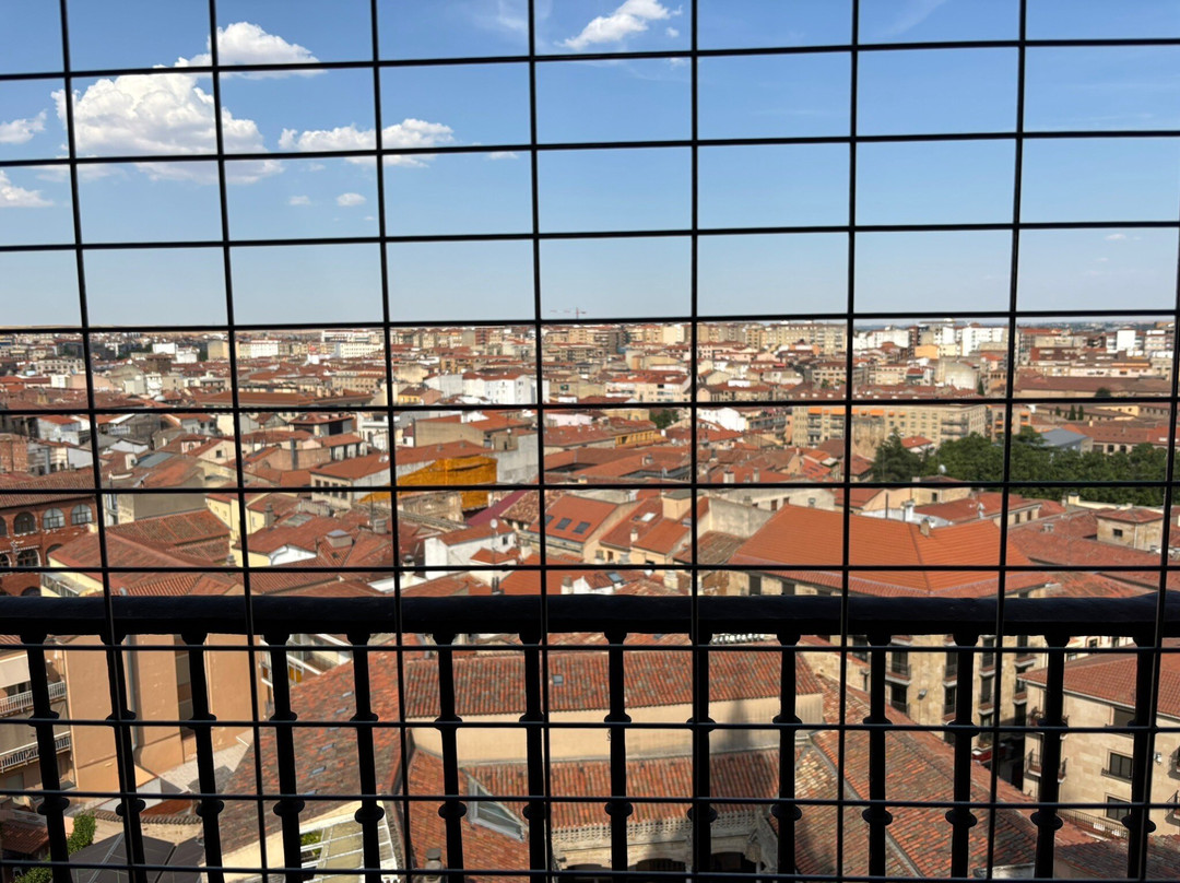Pontifical University of Salamanca-萨拉曼卡必去景点