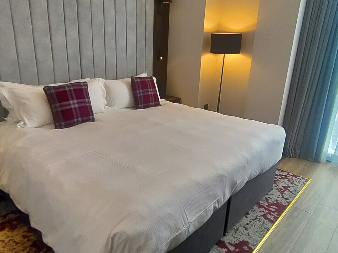 Tynecastle Park Hotel主图