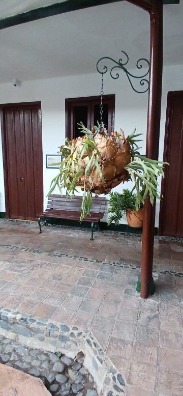 Hotel Casa Antigua Buga-官方