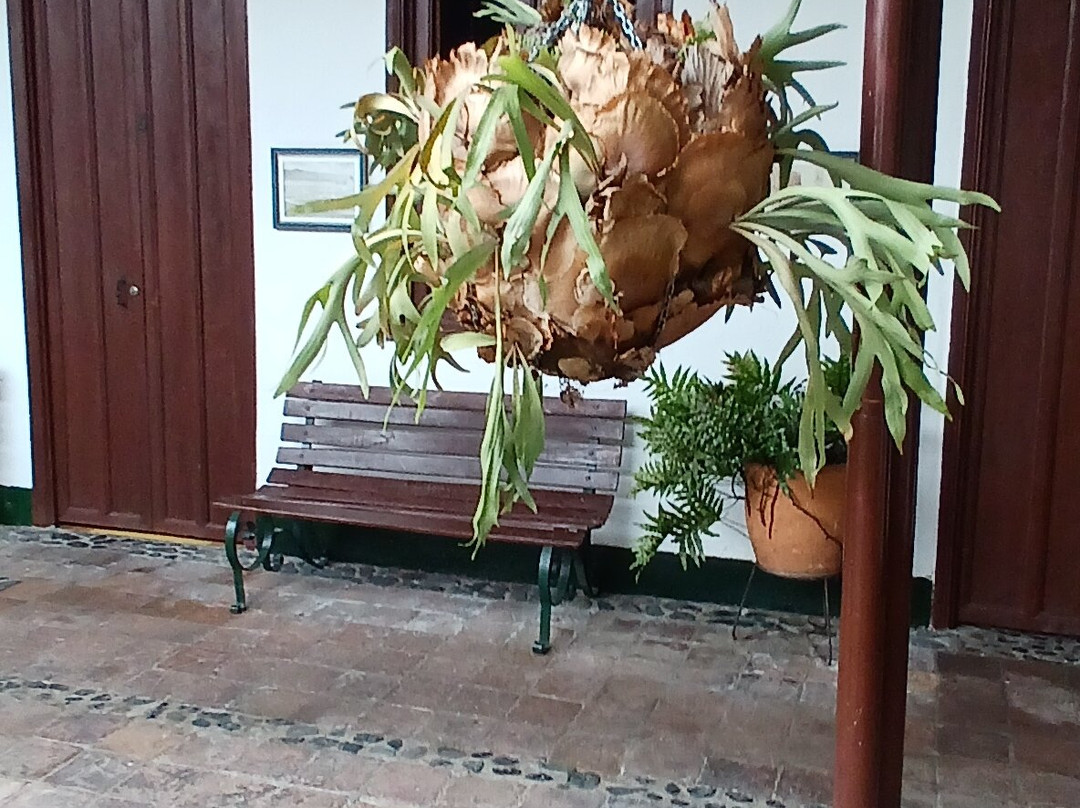 Hotel Casa Antigua Buga