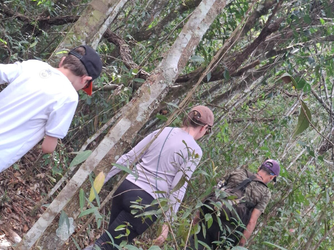 Canastra Sempre Viva-Sao Roque de Minas必去景点