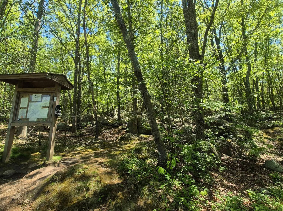 Dogtown Common-格洛斯特必去景点