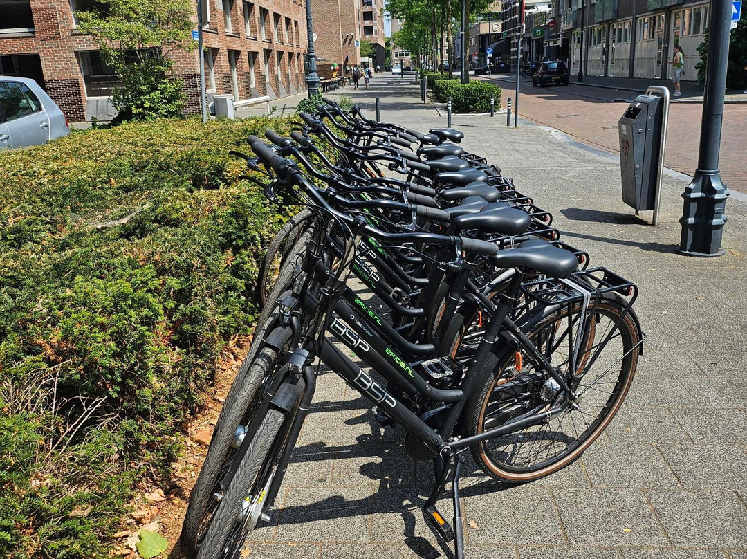 Blind Walls Gallery-布雷达必去景点