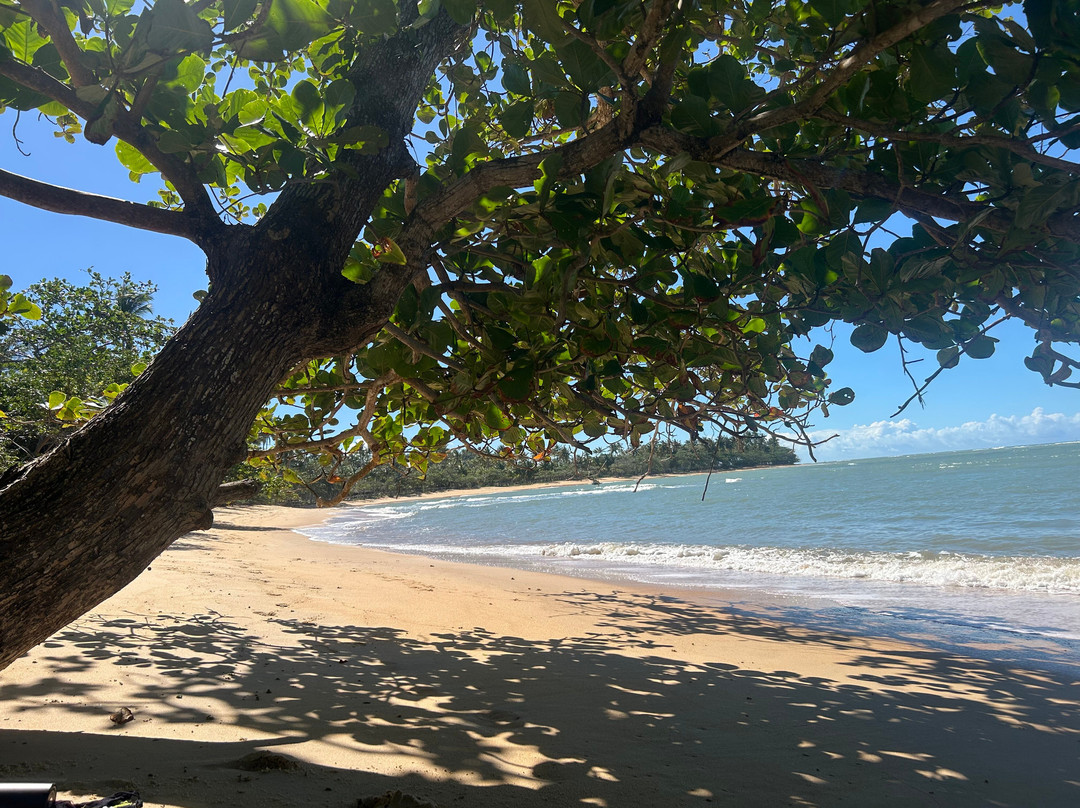 Outeiro Beach (Setiquara)-特兰科苏必去景点