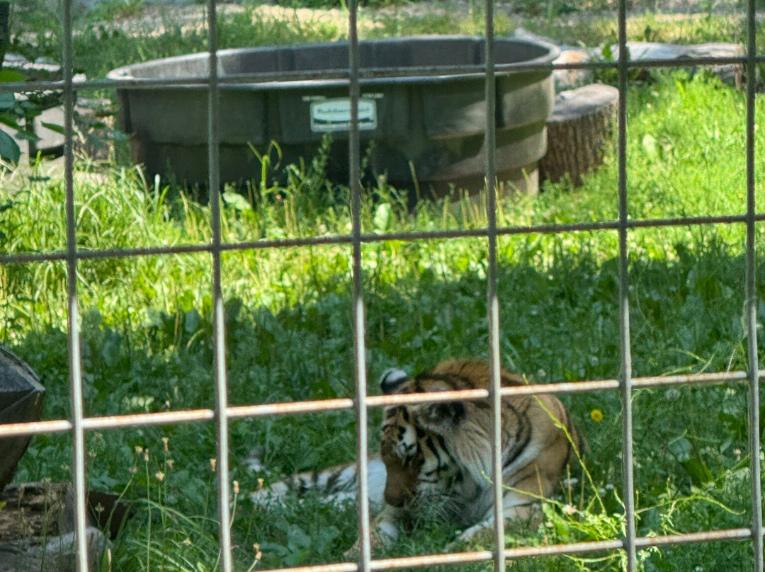 Peoria Zoo-皮奥里亚必去景点