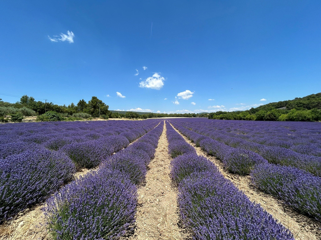 La Falaise de la Madeleine-Lioux必去景点