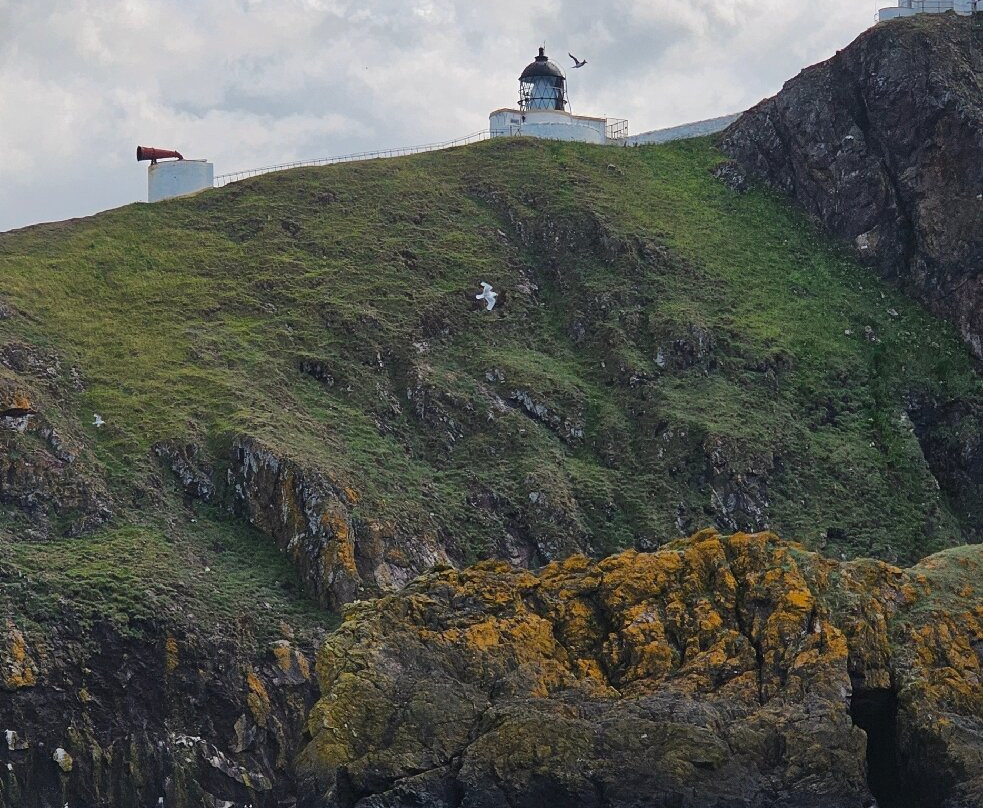 Eyemouth Rib Trips-Eyemouth必去景点