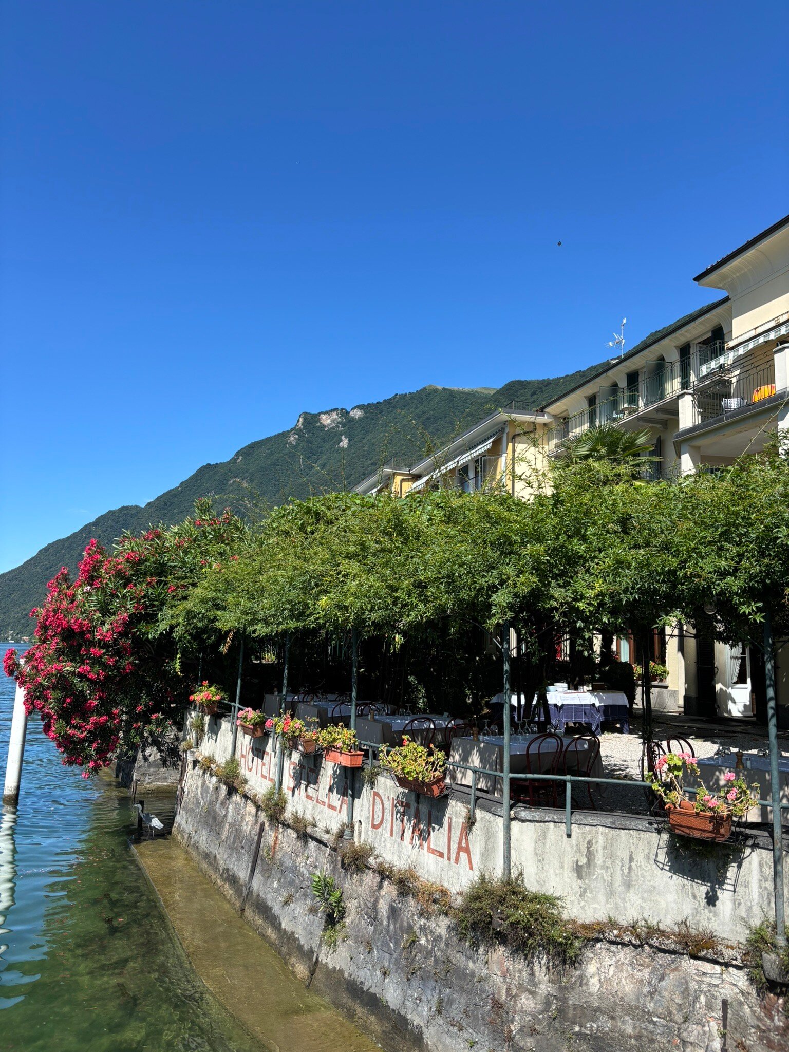 Hotel Stella d'Italia-官方