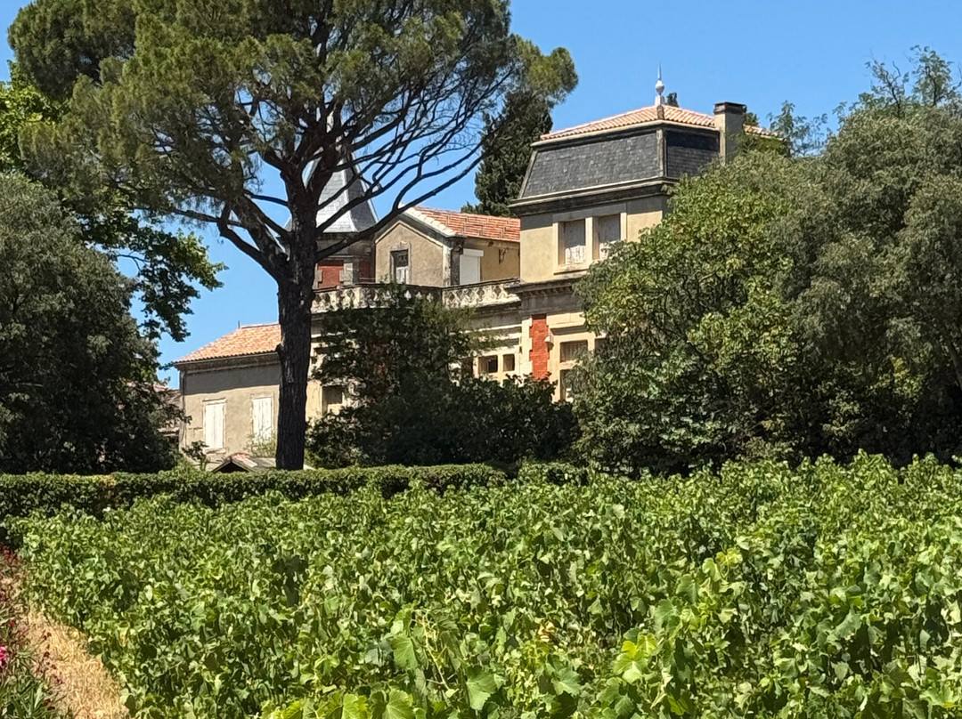Chateau Fortia-教皇新堡必去景点