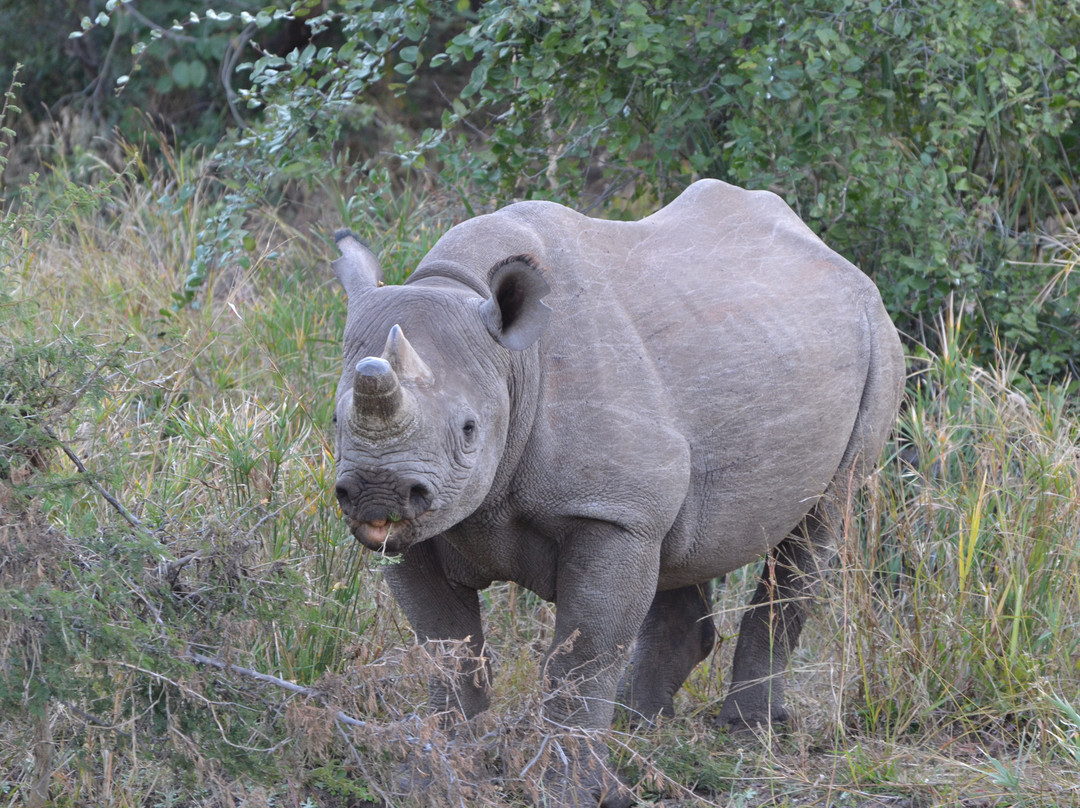 Victoria Falls Private Game Reserve-维多利亚瀑布必去景点