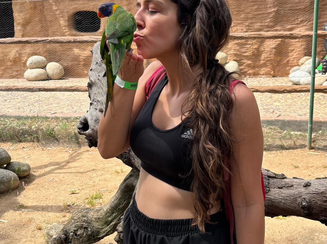 Zoo Safari Fauna Aventura-Hinojosa de San Vicente必去景点