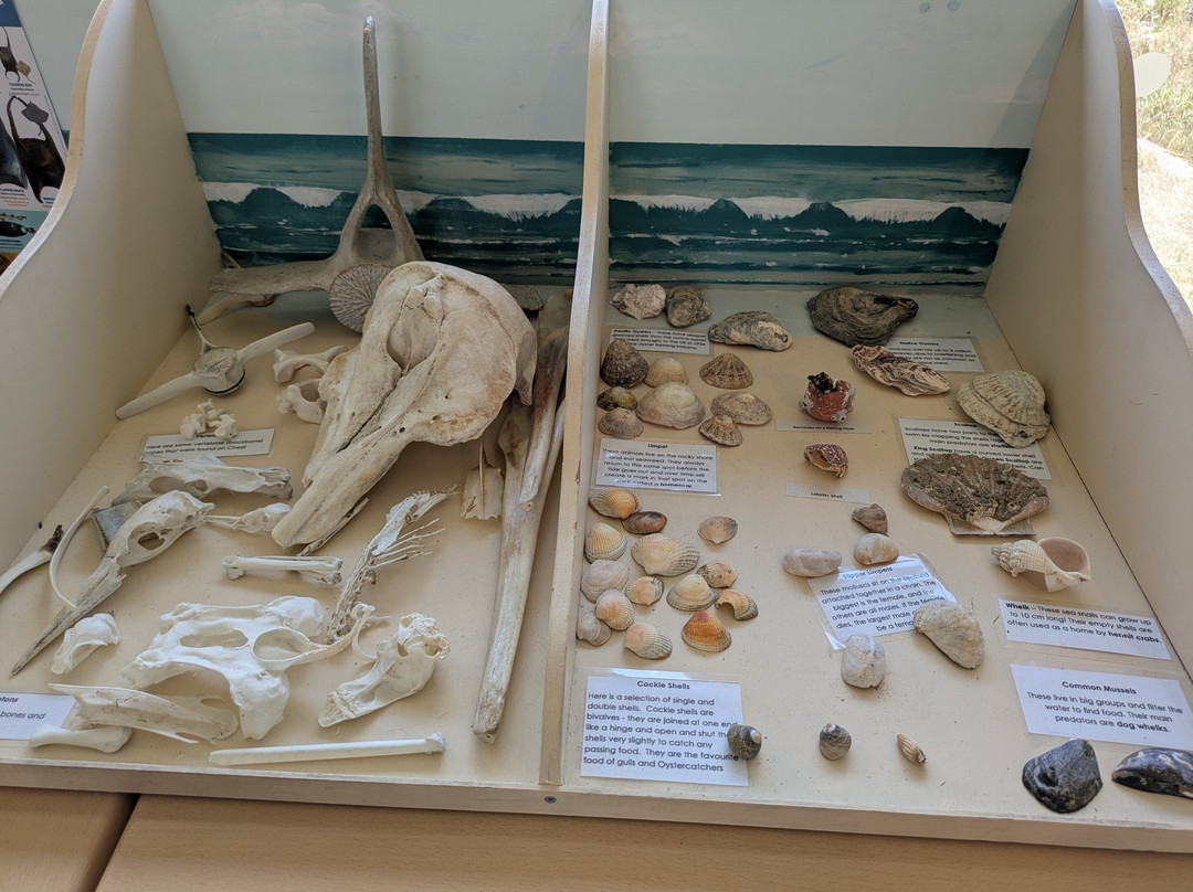 Dorset Wildlife Trust Wild Chesil Centre-Isle of Portland必去景点