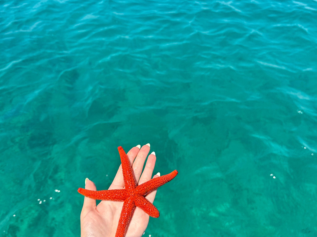 Sea Gems Boat Rental-新派拉莫斯必去景点